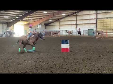 Rawhide Plain Jane "Jane" - 05/13/2023