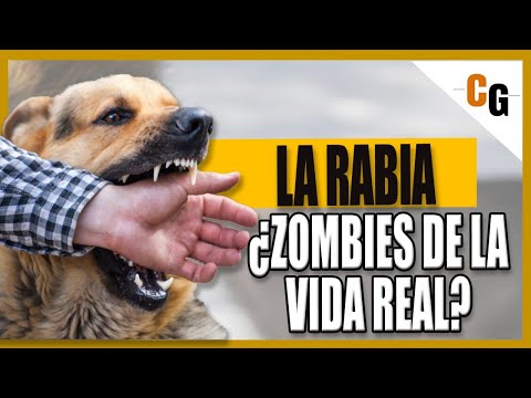 La Rabia - La Enfermedad Infecciosa MAS LETAL - Analisis y Explicación y relación con los Zombies