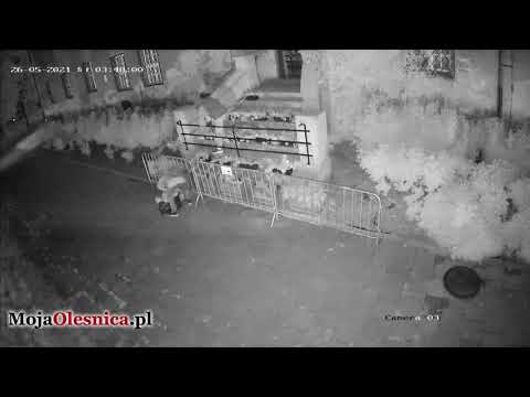 Oleśnica - złodzieje zamkowych donic z kwiatami