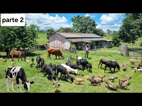 O Rancho onde seu Źé mora parece um paraíso, Tem de tudo,porco,galinhas,carneiros cavalo,vacas etc.