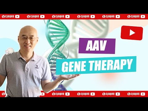 Quick Q&A with AI Marvin｜What is AAV and Gene Therapy