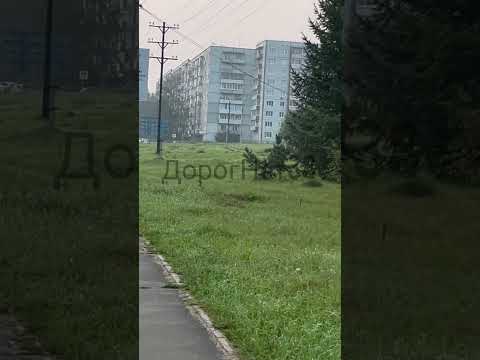 А это уже сегодня. Как это прокомментируют местные власти? Усть-Илимск