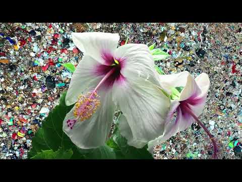 Kety Fusco - Resistance