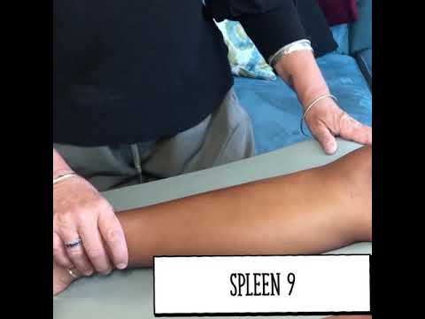 Spleen 9- Acupressure point location
