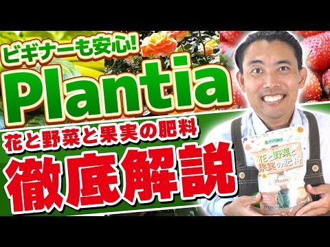 果樹に春に肥料を与えるにはどのような肥料を使用すればよいですか？  庭園