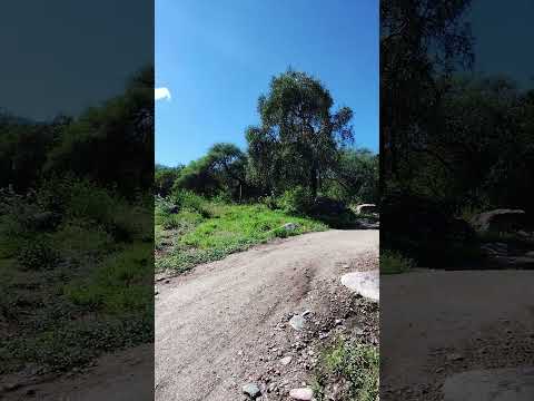 Los Molles | Donde el monte serrano respira