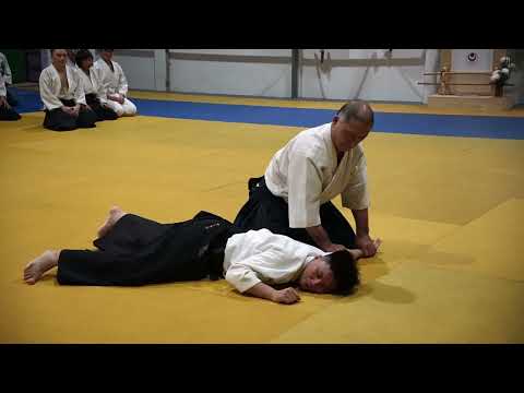 2023 HAF Aikido Seminar - Shihan Etsuji Horii - Yokomen uchi ikkyo