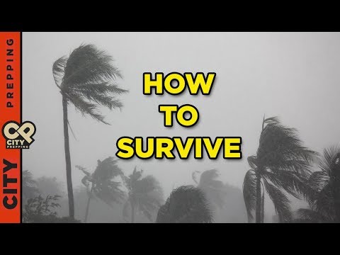 How to Prepare for a Hurricane (Before, During & After)