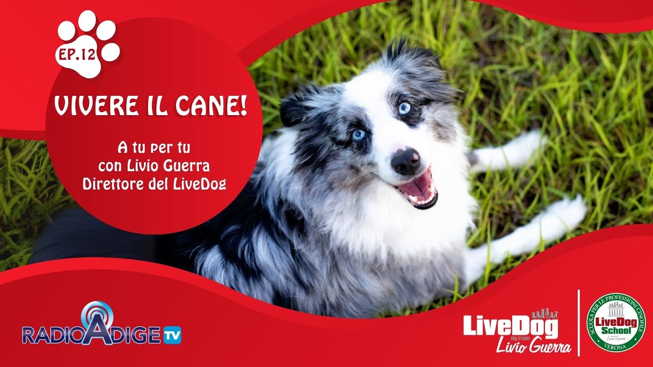 Descrizione dell'immagine