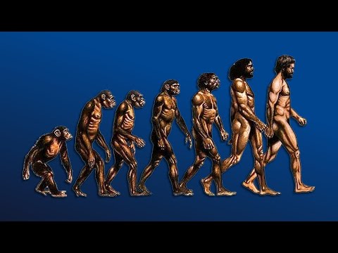 William Von Hippel - How We Evolved