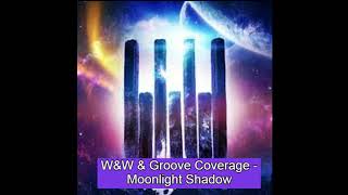 Download lagu W&W & Groove Coverage - Moonlight Shadow [Rave Culture] mp3