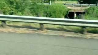 Jesus Does'nt Love Me Anymore Dragonette