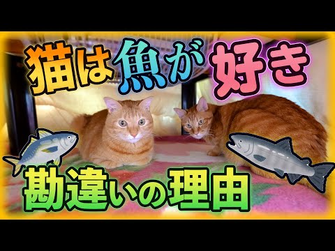 猫は魚を食べてもいいのでしょうか?