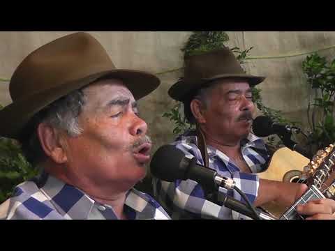 Programa Prosa, Café e Viola nº 517 – Ronaldo Sabino recebe Zé Mulato & Cassiano “SANGUE NOVO”