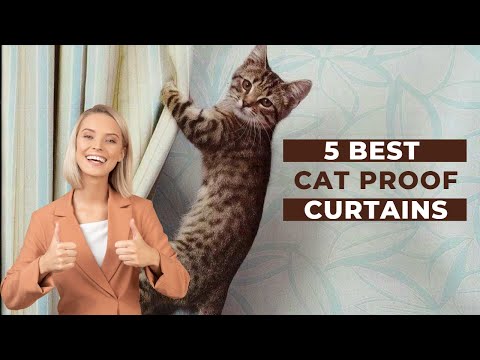 Keep Your Curtains Safe: 5 Best Cat-Proof Curtains