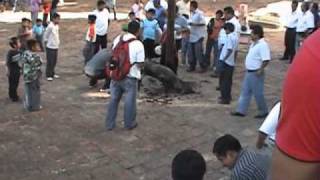 preview picture of video 'Tlacochahuaya, marrano encebado'