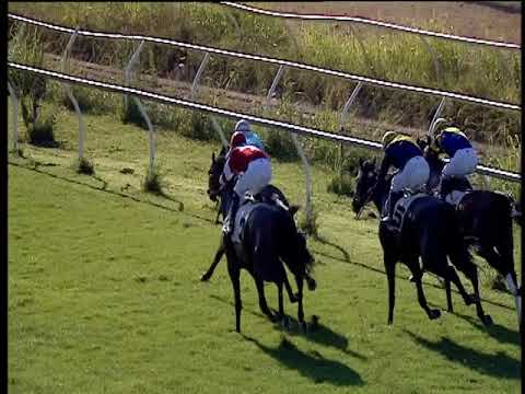 Galoppo 20/07/2018 - 1ª corsa