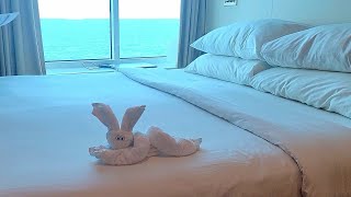 Cruise Ship Cabin Tour, Itinerary & Shore Excursion | 10th Year Wedding Anniversary Trip 🤍