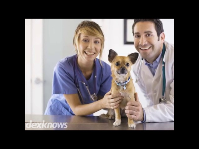 Advanced Veterinary Care - Millcreek, UT