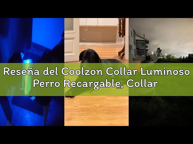 Vídeo relacionado con Coolzon Collar Luminoso Perro Recargable, Collar Perro Luz Impermeable con 3 Modos de Luz, Longitud Ajustable Collares LED para Perros Gatos Pequeño Mediano Grande, Azul