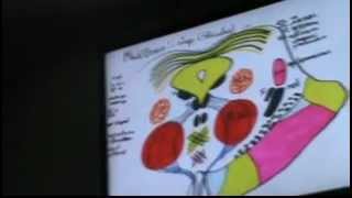 Dr Gehan CNS Barriers, Midbrain & Cerebellum 28-4-2014