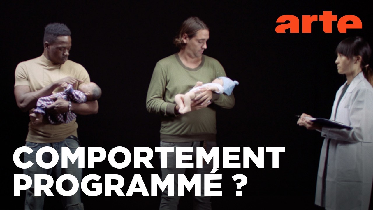 Les hormones : mythes et réalités | Documentaire | ARTE