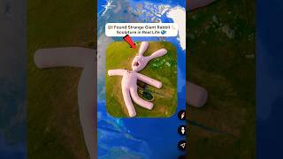 I Found Strange Giant Rabbit 🐇 on google earth and google maps 🌎! #shorts #findmysterioussecrets