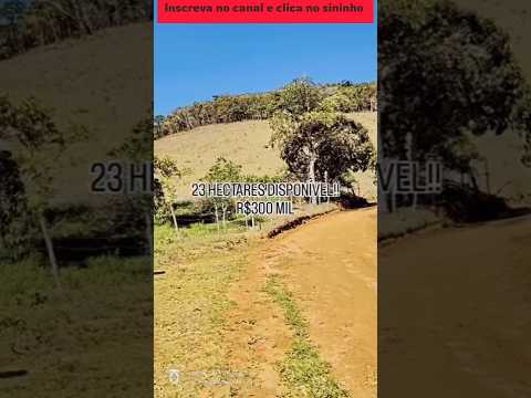 Ótimo sítio de 23 hectares em Santa Bárbara do Monte Verde #brasil #agro #gado #pecuarista #sitio
