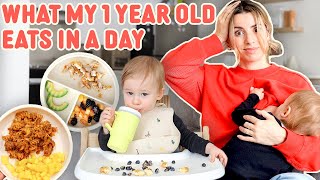 What My 1 Year Old Eats In A Day (And Yes I'm Still Breastfeeding)