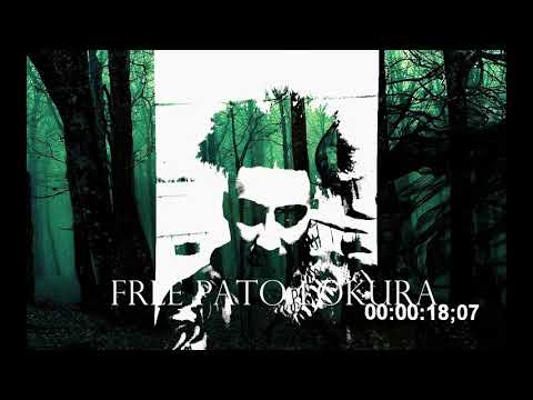 PatoLokura//Parte2//Zinkrisis//