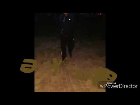 Reinke feat Porekk (Weil du Scheiße bist)