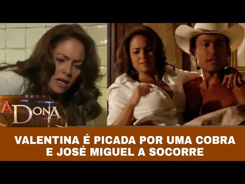 A Dona - Valentina é picada por uma Cobra; José Miguel socorre Valentina