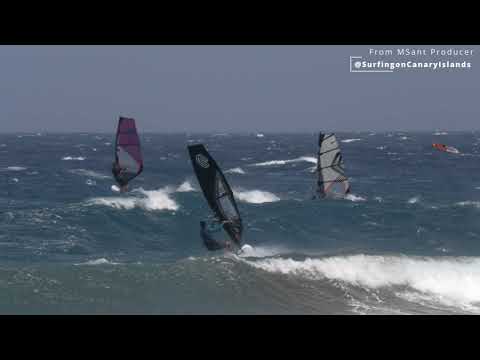 ANIMALS WINDSURFERS. MARC PARE VS JOSEP PONS . VARGAS 2022