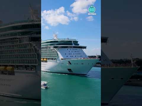 Thumbnail for Independence of seas departing Port Miami | #shorts  #royalcaribbean #freedomclassship