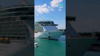 Independence of seas departing Port Miami | #shorts  #royalcaribbean #freedomclassship