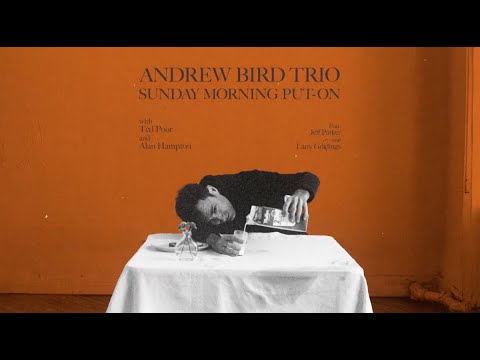 Andrew Bird - My Ideal (Official Audio)