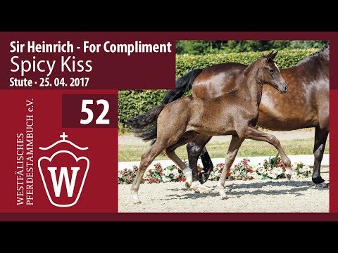 52 Spicy Kiss  Stute v. Sir Heinrich - For Compliment