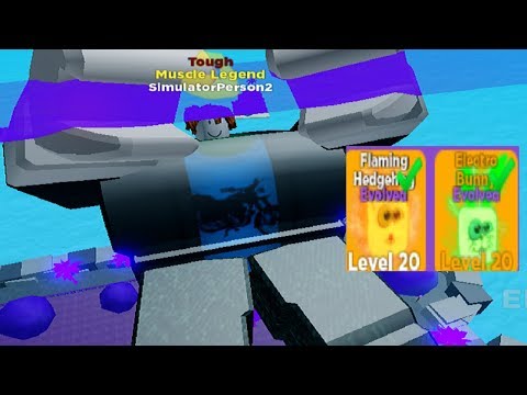 Noob With Best Legendary Pets! Instant Pro! - Muscle Legends (ROBLOX)
