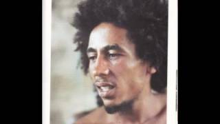 Bob Marley - Guava Jelly Alternative and Dub Version