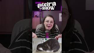 Seu gato usa o arranhador ou prefere os móveis da casa? #isagateira #gateiraliveshow