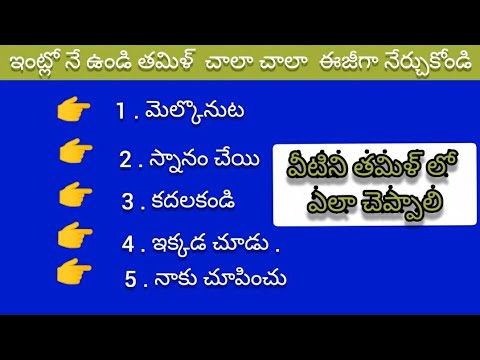 Short Tamil sentence Through Telugu and English.#Tamil. #learn multi language's