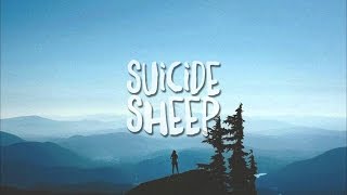 Lights & Motion - Aerials