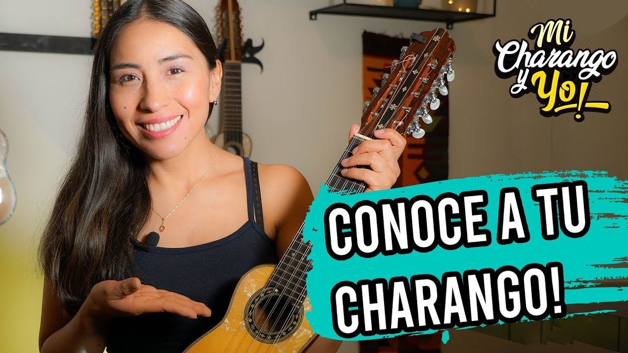 Meet Your Charango!