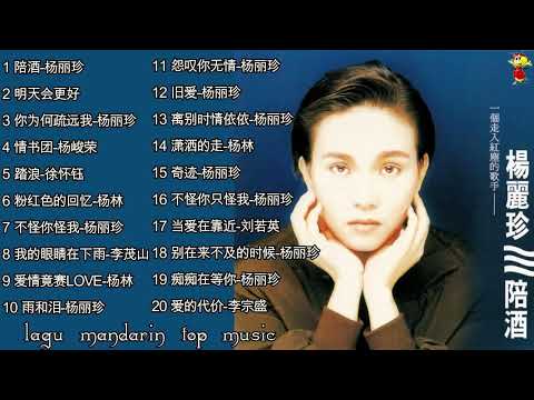 Lagu Mandarin Pei jiu yang li zhen 陪酒 杨丽珍