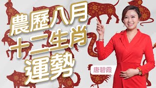 農曆八月十二生肖運勢 ｜屬X的朋友 今個月正財或偏財運都非常旺 | 屬龍的朋友可以找屬X的朋友一齊合作投資 ｜ 屬X的朋友盡量避免危險性活動