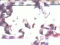 The Lonely End Of The Rink - The Tragically Hip ...
