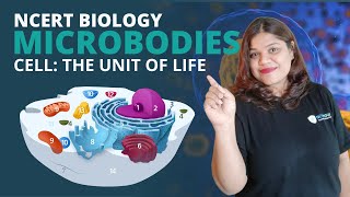 Microbodies | Cell | Class 11 Biology