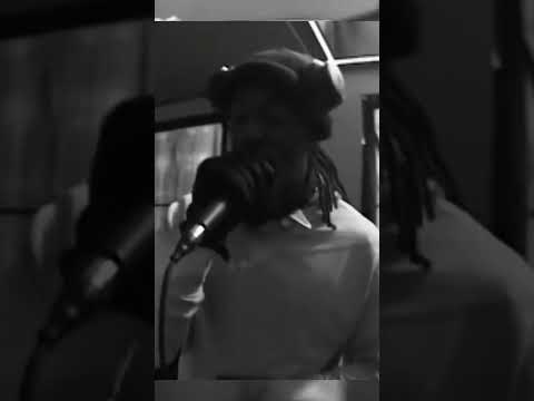 LOGAN - OBLIG XMAS SET 🔥🔥