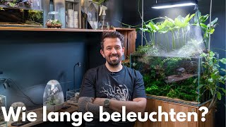 Wie lange sollte man ein Aquascape beleuchten?
