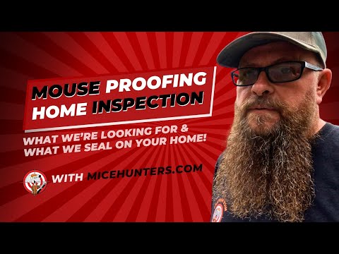 Mouse Proofing: A Detailed Inspection Guide to Securing Your Home from Mice Infestation